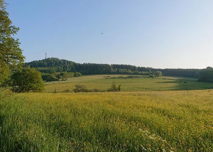 Ferienwohnung Am Hochkelberg