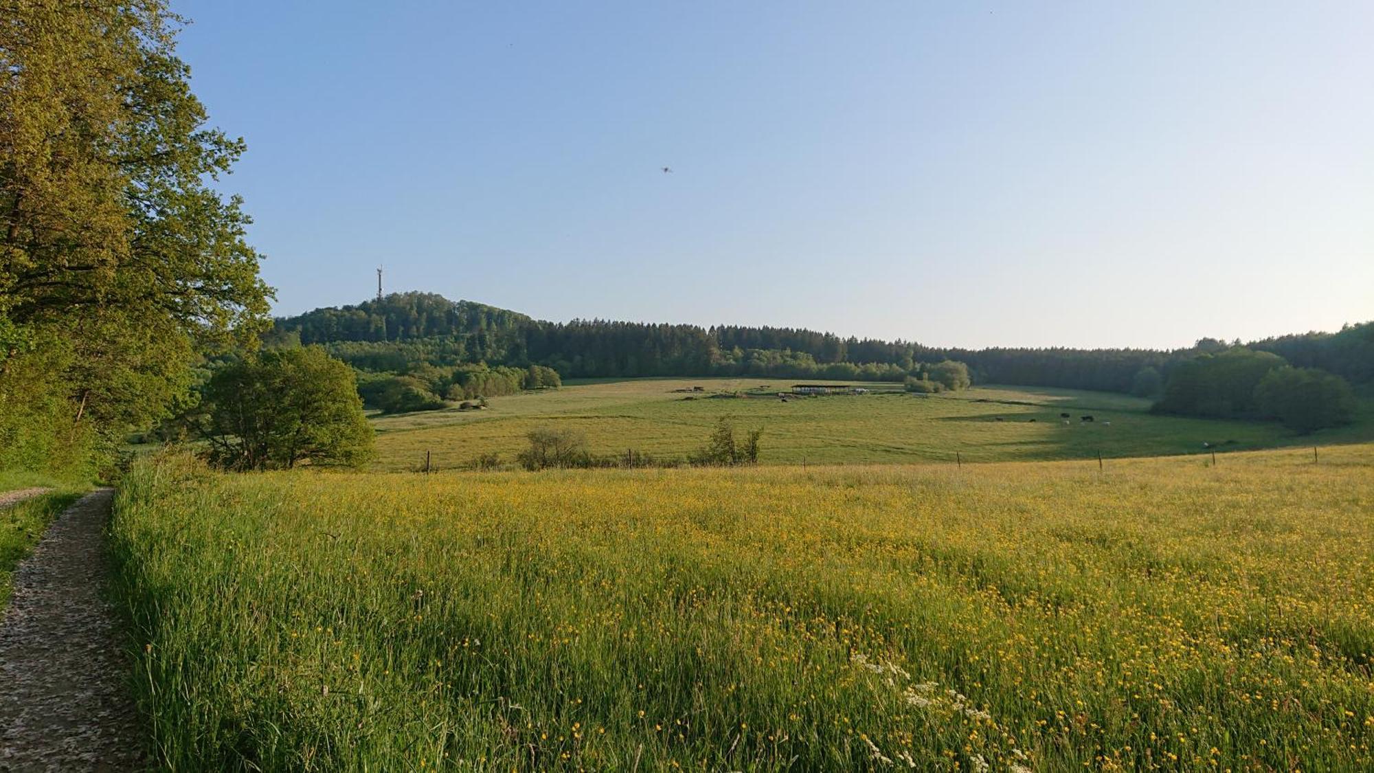 Am Hochkelberg Appartamento *
